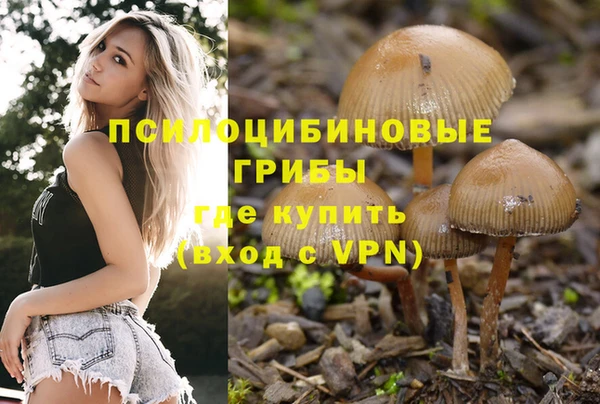мяу мяу мука Новокубанск