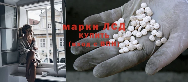 гашик Новодвинск