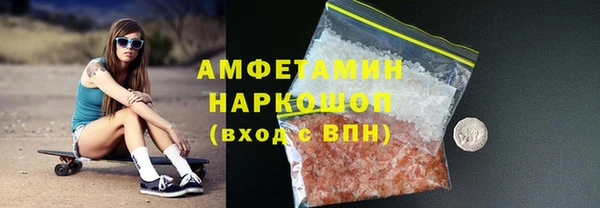 хмурый Няндома