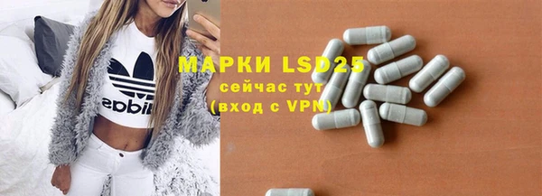 хмурый Няндома