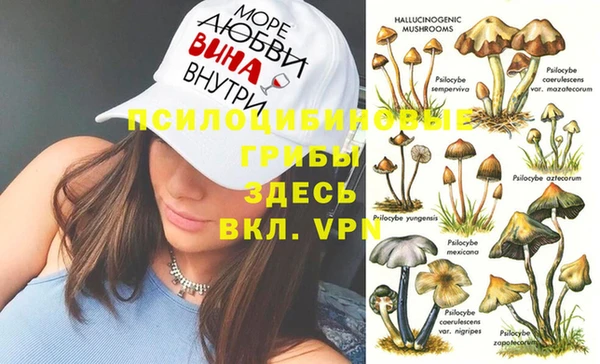 гашик Новодвинск