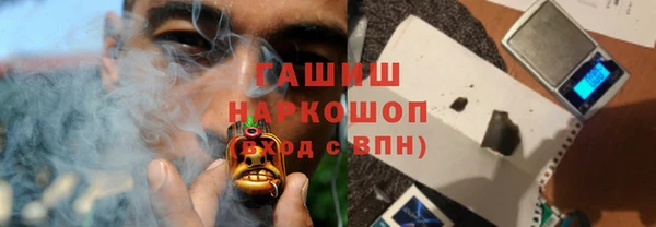 гашик Новодвинск