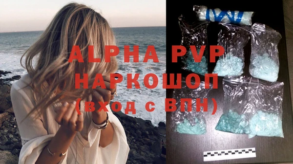 хмурый Няндома