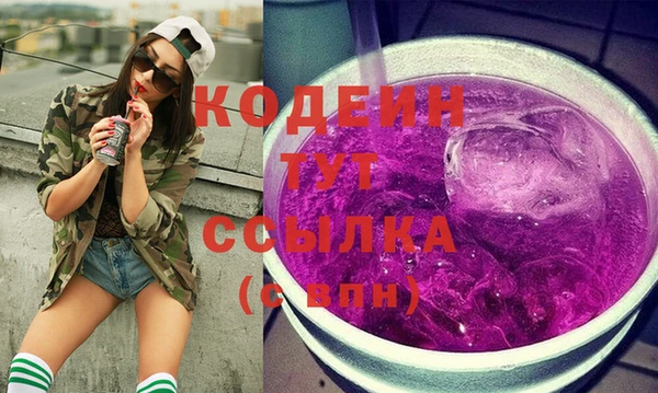 хмурый Няндома