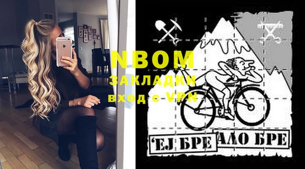 гашик Новодвинск