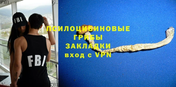 молекула духа Нязепетровск
