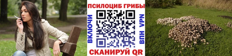 Галлюциногенные грибы прущие грибы Оханск